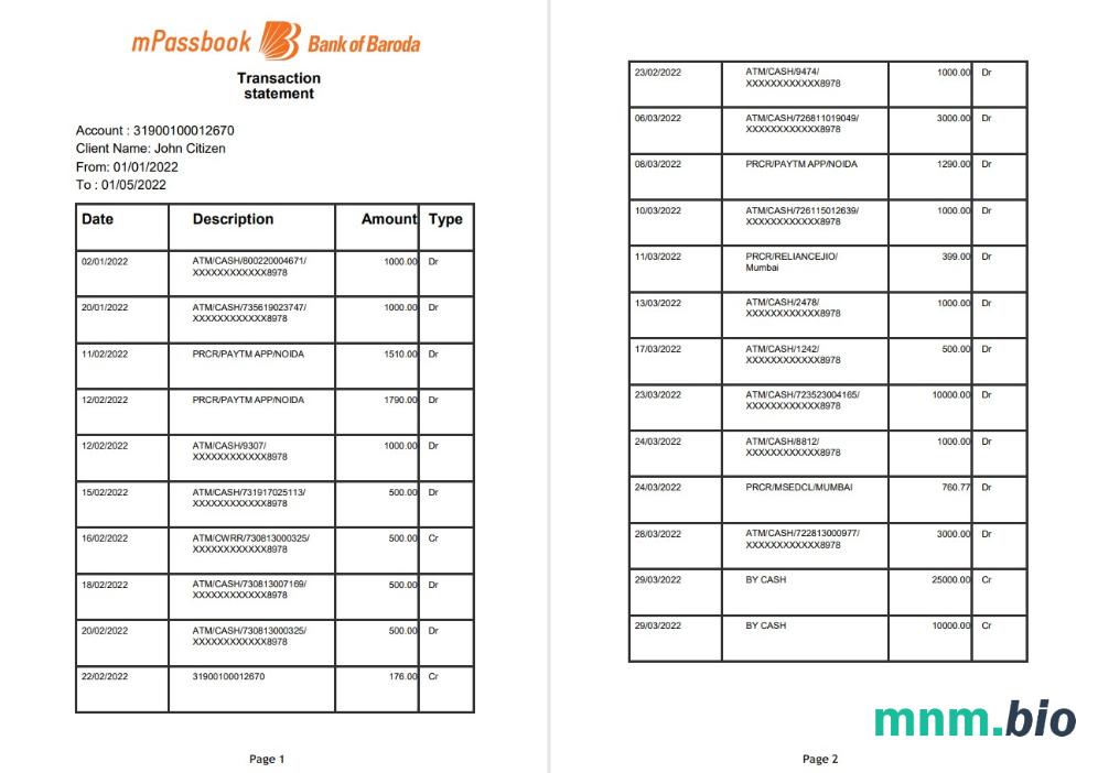 Szablon wyciągu bankowego India Bank Of Baroda BOBCARDS w programie Word i PDF